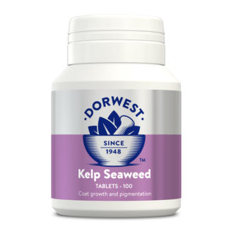 Seealgen (Kelp Seaweed) Tabletten