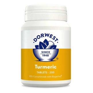 Kurkuma (Turmeric) Tabletten 200St