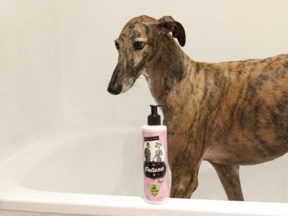 Petuxe® Feuchtigkeitsmaske für Hunde und Katzen mit allen Haartypen – Bild 6